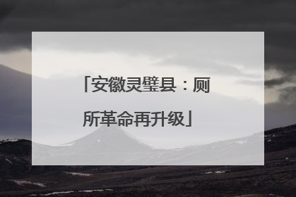 安徽灵璧县：厕所革命再升级
